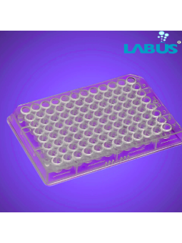 PL MICRO TEST PLATE